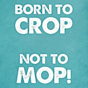 Meet your Posher, Kristie